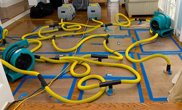 Professional Burst Pipe Water Damage technician working in Pittsburg, KS
